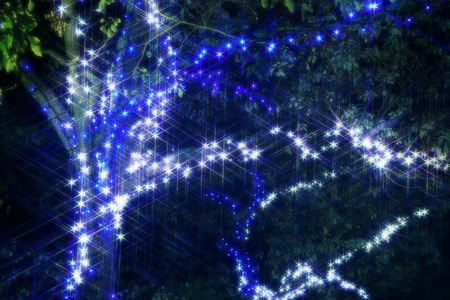 Illuminationの写真素材