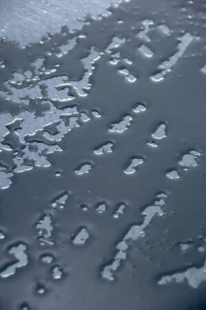 The water in the asphaltの写真素材