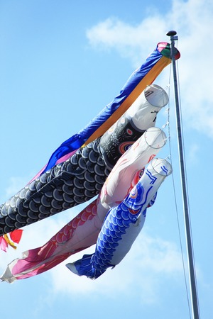 Carp streamerの写真素材