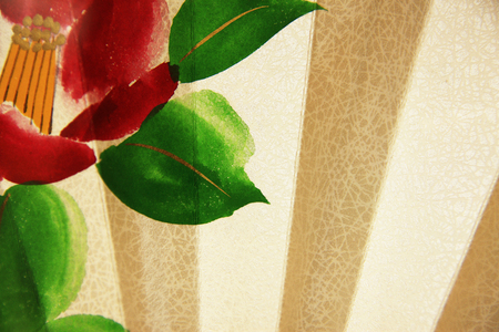 Folding fanの写真素材