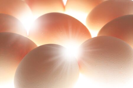 Egg
