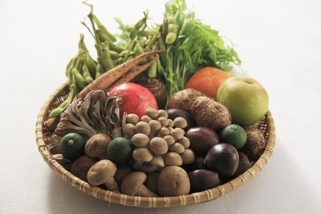 Harvestの写真素材