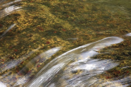 Mountain streamの写真素材