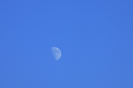Noon of the monthの写真素材