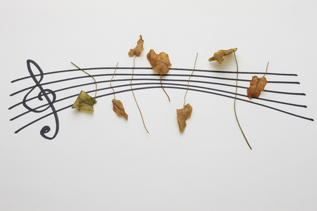 Dead leaves of musicの写真素材