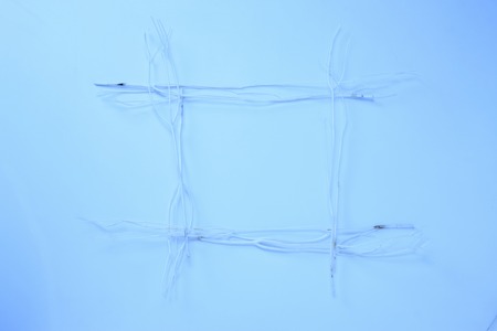 Branch frameの写真素材
