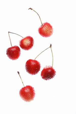 And cherriesの写真素材