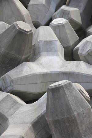 Tetrapodの写真素材