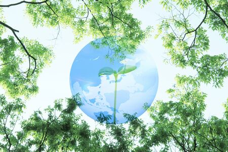 Earth and fresh green
