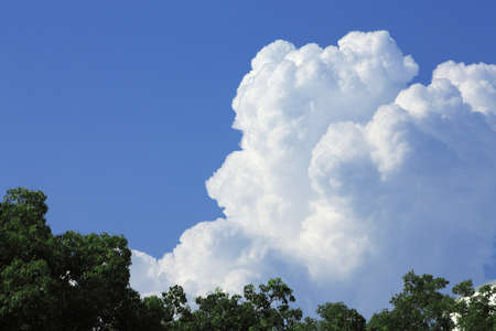 Thunderhead and wood