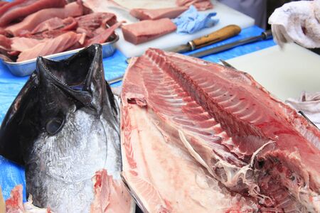 Demolition of the tunaの写真素材