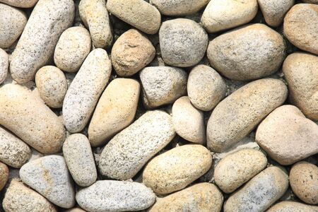 Wall
