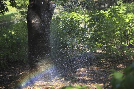 Wateringの写真素材