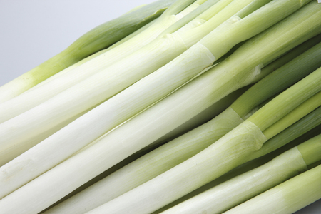 Green onionの写真素材