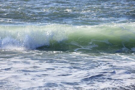 Water's edge