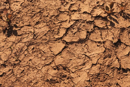 Cracks in the ground