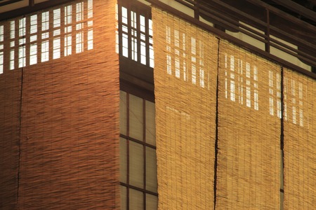 Bambooの写真素材