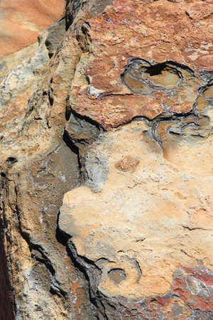 Senjojiki rock