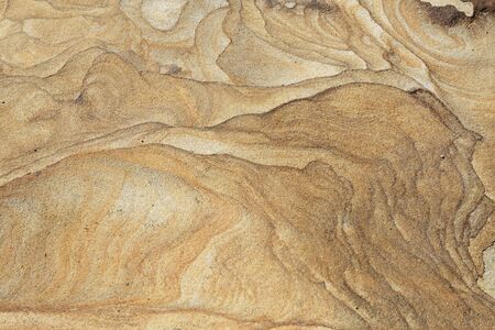 Senjojiki rockの写真素材