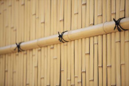Bamboo fenceの写真素材