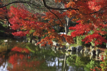 Autumn colors Kyoto