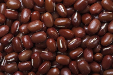 Red bean