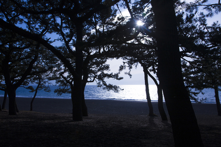 Miho-no-Matsubaraの写真素材