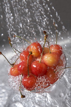 And cherriesの写真素材