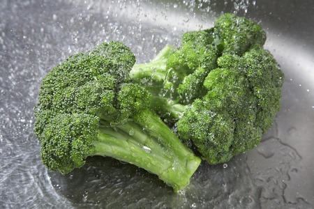 Broccoliの写真素材