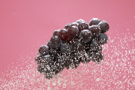 Grapes that bounce on waterの写真素材