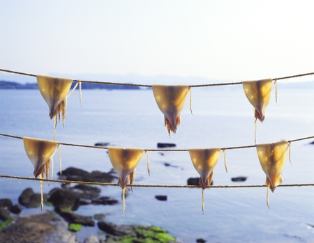 Nanki squid Dried landscapeの写真素材