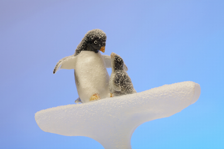 Child Penguin dollの写真素材