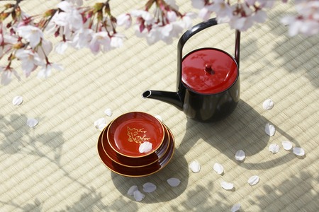 Flower viewing banquetsの写真素材