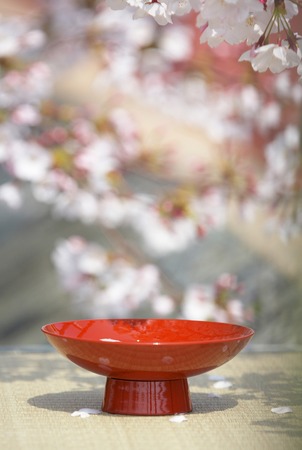 Cup with cherry blossomsの写真素材