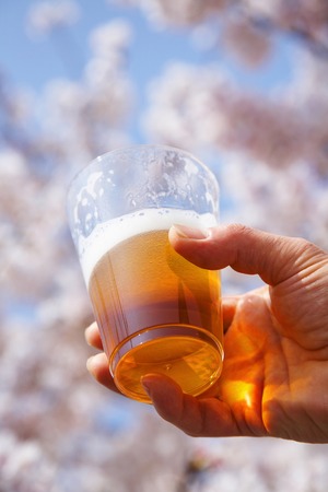 Flower viewing banquetsの写真素材