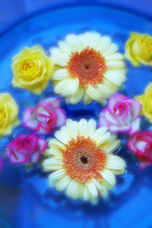 Flower image floating in waterの写真素材
