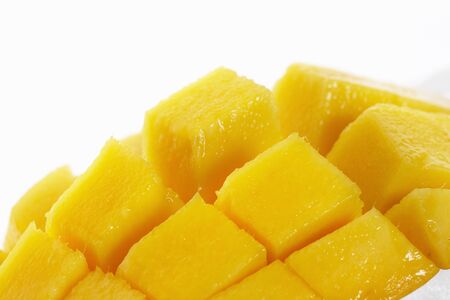 Mangoの写真素材