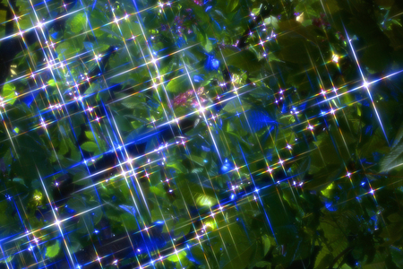 Illuminationの写真素材