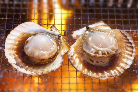 Scallop charcoalの写真素材