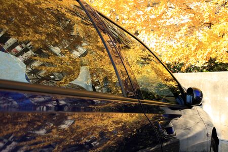 Auto bodyの写真素材