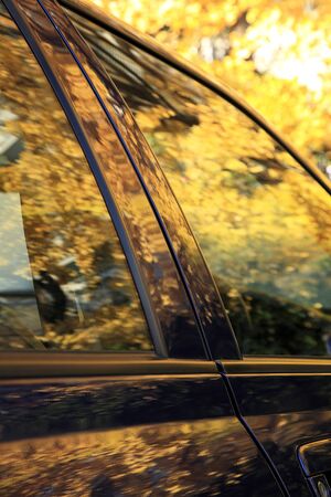 Auto bodyの写真素材