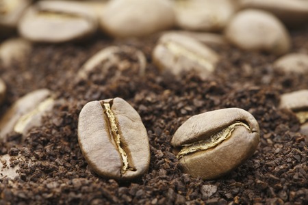 Coffee beansの写真素材