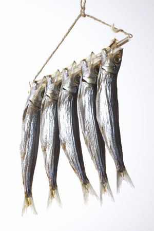 Stockfishの写真素材