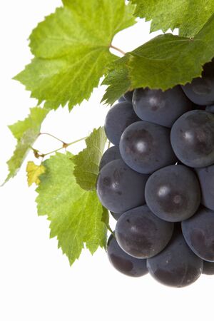 Grapeの写真素材