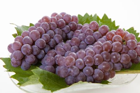 Grapeの写真素材