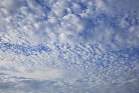 Cirrocumulus