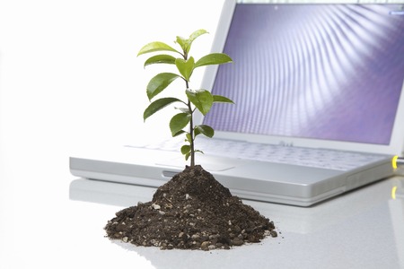 Seedlings and PC development imageの写真素材