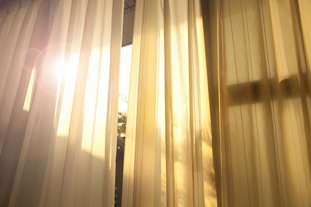 Morning light plug it into the windowsillの写真素材