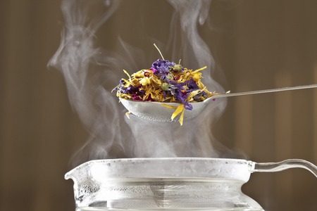 Herbal tea-makingの写真素材