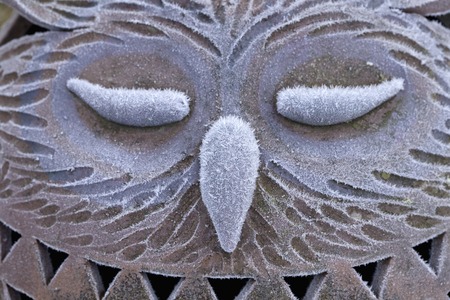 owl doll frost の写真素材